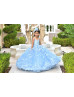 Blue Beaded Lace Tulle Blossom Flower Girl Dress